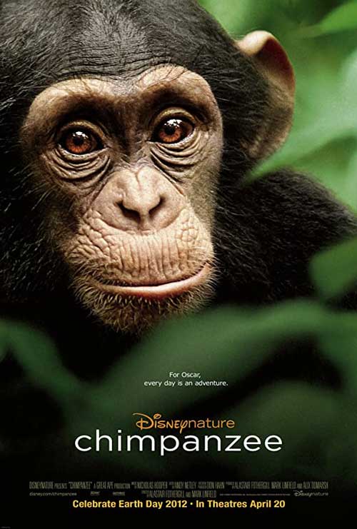 دانلود مستند Chimpanzee 2012